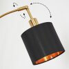 Alsen Lámpara de pie Latón, Negro, 5 luces
