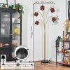 Cando Lámpara de pie Latón, Negro, 5 luces