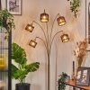 Cando Lámpara de pie Latón, Negro, 5 luces