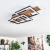 Narangera Plafones LED Marrón, Color madera, Negro, 1 luz