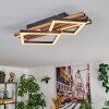 Ellekilde Plafones LED Marrón, Color madera, Negro, 2 luces