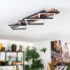 Ellekilde Plafones LED Marrón, Color madera, Negro, 1 luz
