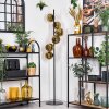Koyoto Lámpara de pie dorado, 6 luces