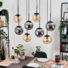 Gastor Lámparas suspendidas, Luminarias esféricas, Lámparas colgantes Colores ámbar, Ahumado, 8 luces
