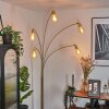 Codecreo Lámpara de pie Latón, Negro, 5 luces