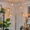 Codecreo Lámpara de pie Latón, Negro, 5 luces