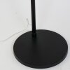 Lámpara de Pie Steinhauer Gramineus Negro, 1 luz