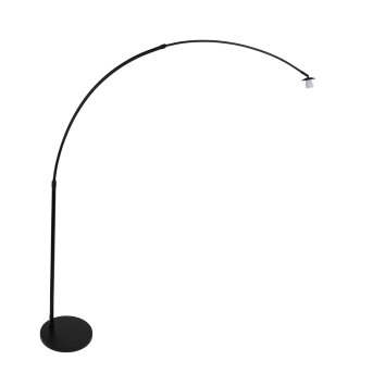 Lámpara de Pie Steinhauer Gramineus Negro, 1 luz