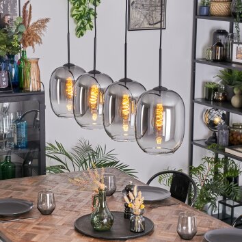 Apedo Lámparas suspendidas, Lámparas colgantes Transparente, Ahumado, 4 luces