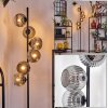 Ripoll Lámpara de pie Ahumado, 6 luces
