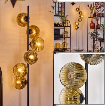 Ripoll Lámpara de pie dorado, Transparente, 6 luces
