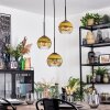 Koyoto Lámparas suspendidas, Luminarias esféricas, Lámpara colgante de clúster 30 cm dorado, Transparente, 3 luces