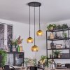 Koyoto Lámparas suspendidas, Luminarias esféricas, Lámpara colgante de clúster 30 cm dorado, Transparente, 3 luces
