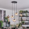 Koyoto Lámparas suspendidas, Luminarias esféricas, Lámpara colgante de clúster 30 cm Colores ámbar, Transparente, 3 luces