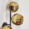 Koyoto Luminarias esféricas, Apliques dorado, 3 luces