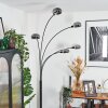 Nikkala Lámpara de pie Negro, 5 luces