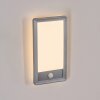 Harel Aplique de exterior, Panel, Apliques LED Plata, 1 luz, Sensor de movimiento