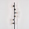 Koyoto Lámpara de pie 31 cm Transparente, 6 luces