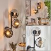 Koyoto Luminarias esféricas, Apliques Cromo, Transparente, Ahumado, 3 luces