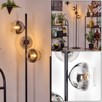 Koyoto Lámpara de pie 31 cm Cromo, Transparente, Ahumado, 3 luces