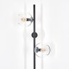Koyoto Lámpara de pie 31 cm Transparente, 3 luces