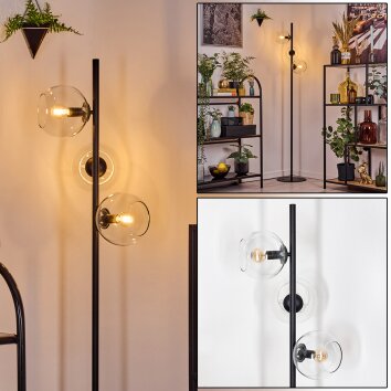 Koyoto Lámpara de pie 31 cm Transparente, 3 luces