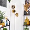 Koyoto Lámpara de pie 31 cm dorado, Transparente, 3 luces