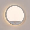 Qadir Aplique de exterior, Apliques LED Blanca, 1 luz, Sensor de movimiento