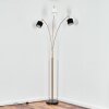 Bassagoda Lámpara de pie Latón, Negro, 3 luces