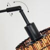 Cando Lámpara de pie Negro, 3 luces