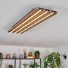 Tandragee Plafones LED Color madera, Negro, 1 luz