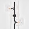 Koyoto Lámpara de pie 31 cm Transparente, 3 luces