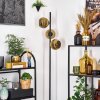 Koyoto Lámpara de pie 31 cm dorado, 3 luces