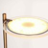 Lámparas Steinhauer Turound Lámpara de pie Bronce, 2 luces