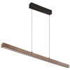 Lámparas Globo Lighting Olivus Lámparas colgantes LED Negro, 1 luz
