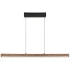 Lámparas Globo Lighting Olivus Lámparas colgantes LED Negro, 1 luz