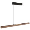 Lámparas Globo Lighting Olivus Lámparas colgantes LED Negro, 1 luz