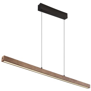 Lámparas Globo Lighting Olivus Lámparas colgantes LED Negro, 1 luz