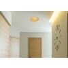 Lámparas Globo Lighting Heda Plafones LED dorado, 1 luz