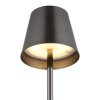 Lámparas Globo Lighting Vannie Lámparas de mesa LED Cromo, Negro, 1 luz