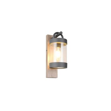 Lámparas Trio Sambesi Apliques Madera clara, 1 luz