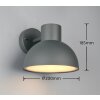 Lámparas Trio ELBE Apliques Antracita, 1 luz