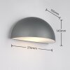 Lámparas Trio MAAS Apliques Antracita, 1 luz