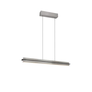 Lámparas Trio Emerson Lámparas colgantes LED Níquel-mate, 1 luz