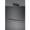 Lámparas Trio Emerson Lámparas colgantes LED Negro, 1 luz