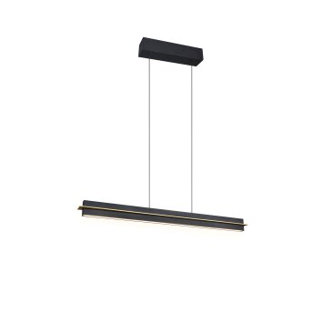 Lámparas Trio Emerson Lámparas colgantes LED Negro, 1 luz