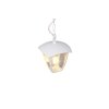 Lámparas Trio VENTA Lámparas colgantes Blanca, 1 luz
