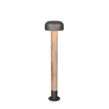 Lámparas Trio FRASER Lámpara de pie para exterior Madera clara, 1 luz