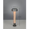 Lámparas Trio FRASER Lámpara de pie para exterior Madera clara, 1 luz