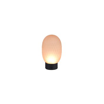 Lámparas Trio Facette Lámparas de mesa LED Marrón, dorado, 1 luz